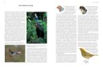 Illustrated Encyclopedia of British Birds and Habitats