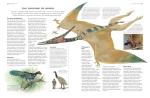 Illustrated Encyclopedia of British Birds and Habitats