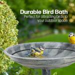 Freestanding Bird Bath for Garden and Yard