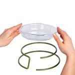 Mealworm and Robin Bird Feeder Tray