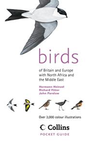 Collins Pocket Bird Guide for Britain and Europe
