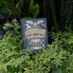 Bird Lore & Symbolism: Illustrated Guide Volume 2