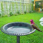 Bonnlo Green Patina Bird Bath for Gardens