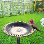 Antique Copper Bird Bath with Floral Accents