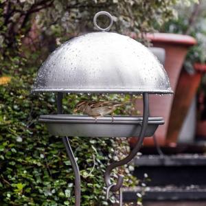 Wild Bird Feeding Station with Dome Shelter