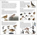 RSPB Pocket Guide to British and European Birds