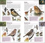 RSPB Pocket Guide to British and European Birds