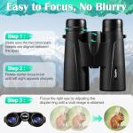 Compact 12x50 Binoculars for Bird Watching