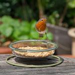 Mealworm and Robin Bird Feeder Tray
