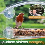 Suction Cup Window Bird Feeder with Seed Tray