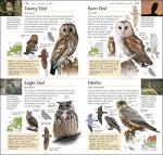 RSPB Pocket Guide to British and European Birds