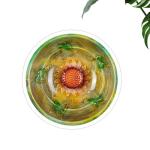 Metal Birdhouse for Hanging in Your Garden