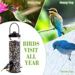 Hanging Seed Feeders for Small Birds - 2 Pack