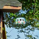 Colourful Metal Caravan Bird House with Solar Lights