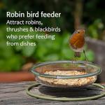 Mealworm and Robin Bird Feeder Tray