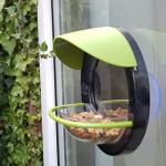Window Bird Feeder with Bird Guide for Kids