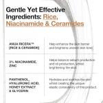 Anua Rice Ceramide 7 Hydrating Barrier Serum, Moisturizing Face Serum, Non-comodogenic, Hyaluronic Acid, Niacinamide, Lightweight, Fragrance Free, Sensitive Dry Skin, Korean Skincare, 1.69 fl.oz