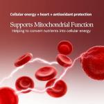 The Intelligent Health CoQ10 Supplement, Fermented Coenzyme Q10 Ubiquinone for Women & Men, Easy to Swallow 300mg 120 Vegetarian Softgels, 4 Months Supply