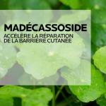 La Roche-Posay Cicaplast Baume B5 Multi-Purpose Balm