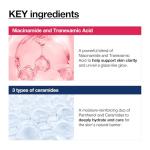 ANUA Brightening Niacinamide Skincare Routine Set