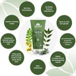 Ayumi Exfoliating Body Scrub with Neem | Tea Tree Oil Scrub for Oily Skin | Back Acne Treatment with Neem Scrub | Nettle Leaf to Soothe Itching | Body Scrub for Women & Mens Skincare Rituals |2x200 ml