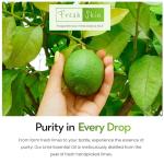 Freshskin Beauty LTD | Lime Essential Oil - 100ml - 100% Pure & Natural Essential Oils