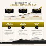 Ancestral Supplements Mofo, Supplements for Men Support Testosterone Levels and Overall Men's Health and Wellness, Non-GMO Grass Fed Beef Organ Supplement with Liver, No Fillers, 180 Capsules