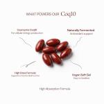 The Intelligent Health CoQ10 Supplement, Fermented Coenzyme Q10 Ubiquinone for Women & Men, Easy to Swallow 300mg 120 Vegetarian Softgels, 4 Months Supply