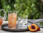 Unbreakable Acrylic Drinkware Set of 16