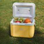 Naturehike 5.3 QT Portable Insulated Cooler