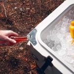 Lifetime 65 Quart Heavy-Duty Cooler