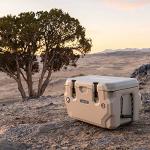 Lifetime 65 Quart Heavy-Duty Cooler