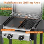 Electactic 2-Burner Propane Grill with Cast Iron Pan