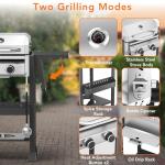 Electactic 2-Burner Propane Grill with Cast Iron Pan
