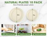300 Pack Heavy-Duty Compostable Paper Plates Set