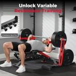 FLYBIRD SR1 Adjustable Squat Rack with Pull-Up Bar