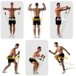 Ab Roller with Resistance Bands and Travel Bag