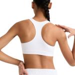 Champion Women's High-Impact Sports Bra, Large