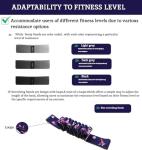 Ab Roller with LCD Screen & Resistance Bands