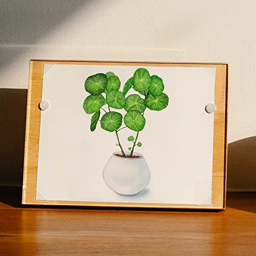 Lineco Infinity 0.625" Archival Self Adhesive Photo Corners