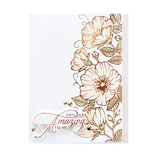 Becca Feeken Glimmer Hot Foil Plate Set - Sweet Blooms Border