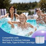 Volca Hot Tub Filter Cartridge Size VI, 6 Pack