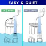 Aquastrong 1 HP Submersible Utility Water Pump