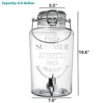 DEAYOU Glass Beverage Dispenser with Spigot, 0.8 Gallon