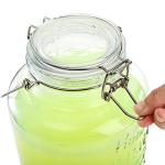 DEAYOU Glass Beverage Dispenser with Spigot, 0.8 Gallon