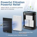 Honeywell HPA300 HEPA Filter R, 6 Pack