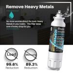 ICEPURE Plus LG Refrigerator Water Filter 3-Pack