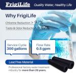 FrigiLife LG Refrigerator Water Filter Pack of 2