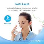 Waterdrop AP117 Whole House Water Filter Pack