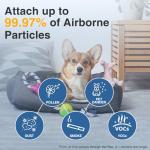 Honeywell HPA300 HEPA Filter R, 6 Pack